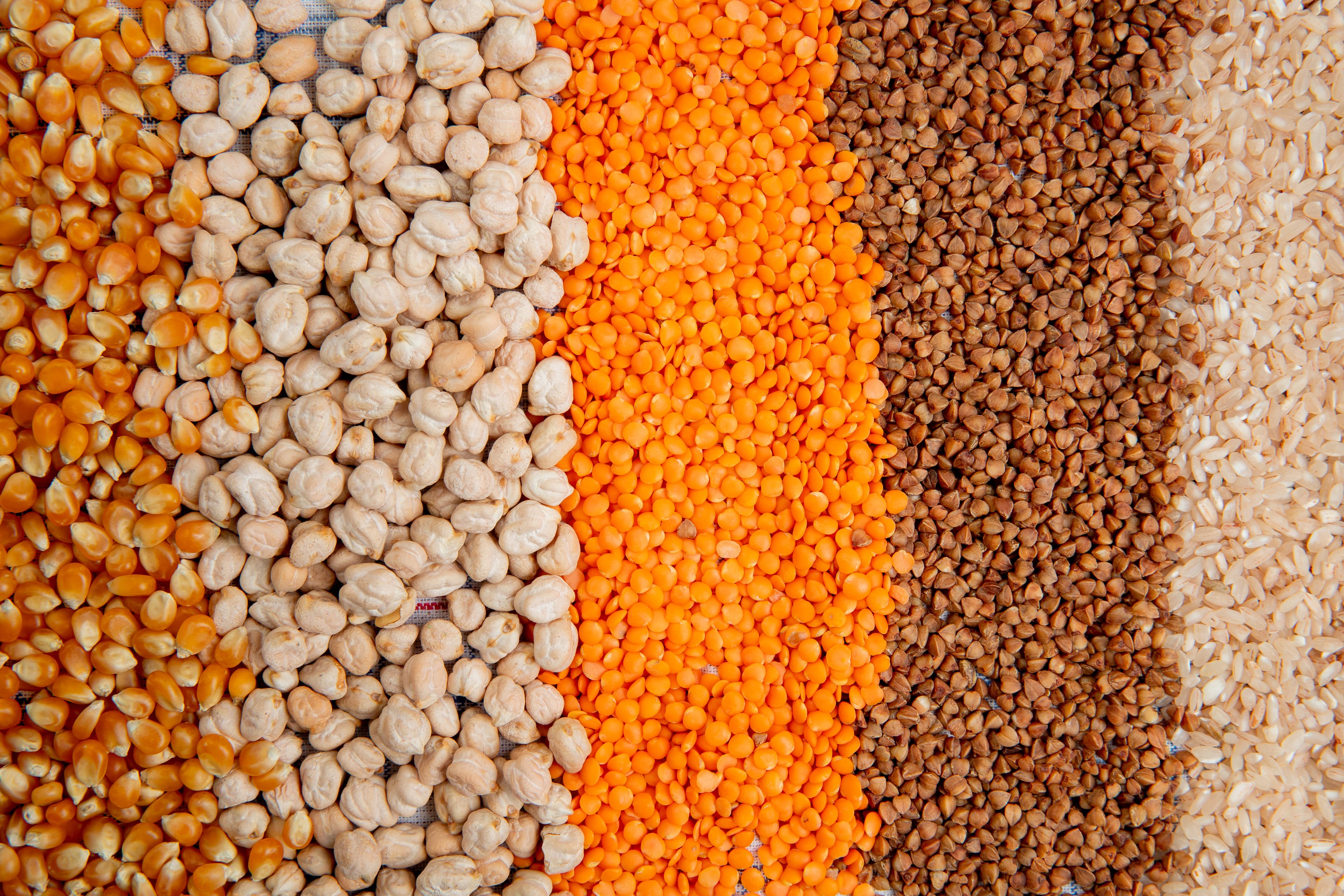 Premium Quality Grains & Pulses